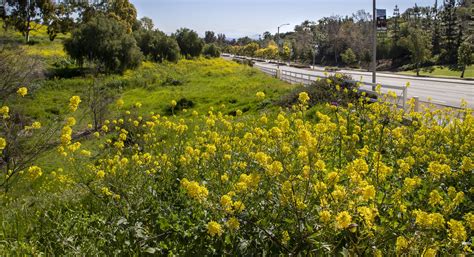 Chino Hills Jobs, Employment in Chino Hills, CA .